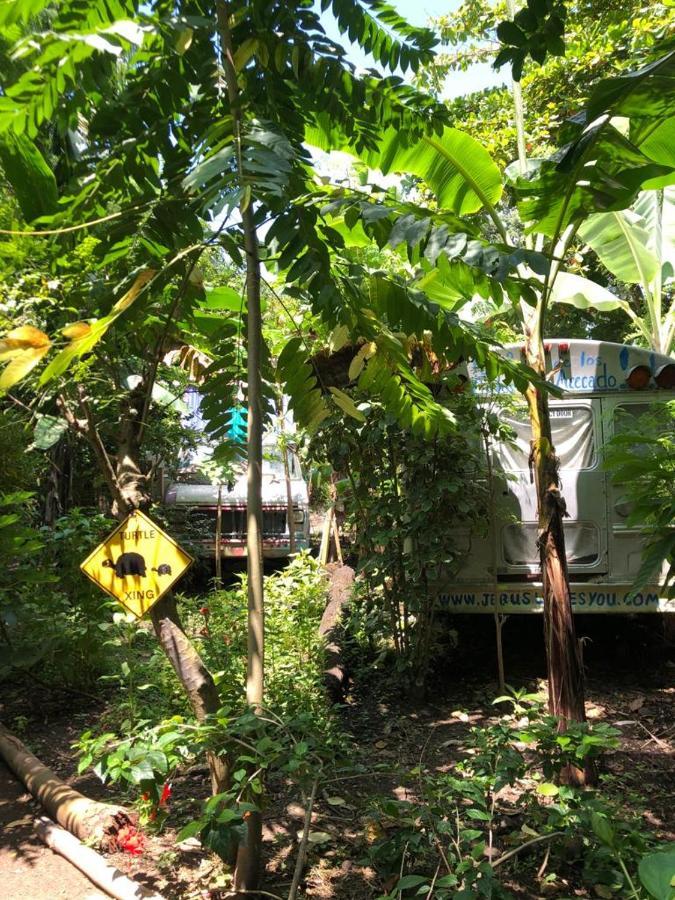 Rainbow Caravan Hostel Las Pilas المظهر الخارجي الصورة