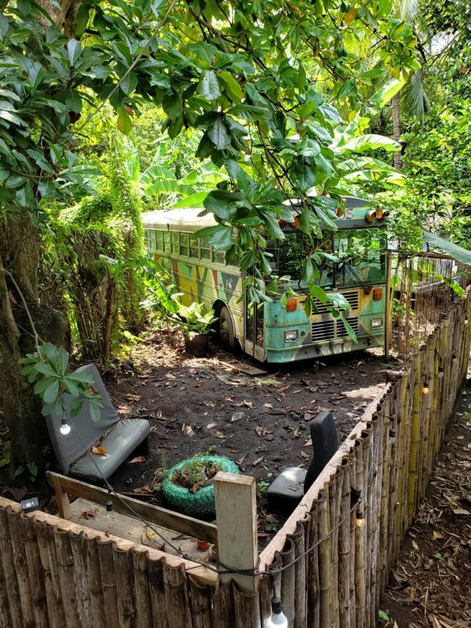Rainbow Caravan Hostel Las Pilas المظهر الخارجي الصورة